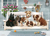 Porch Pals 350 Piece Family Puzzle