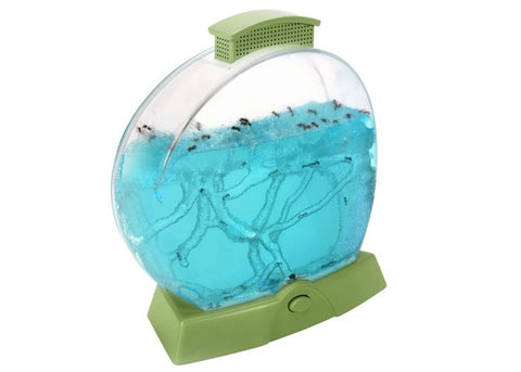 Geosafari Day N Night Ant Farm