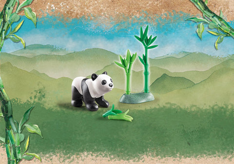 Young Panda