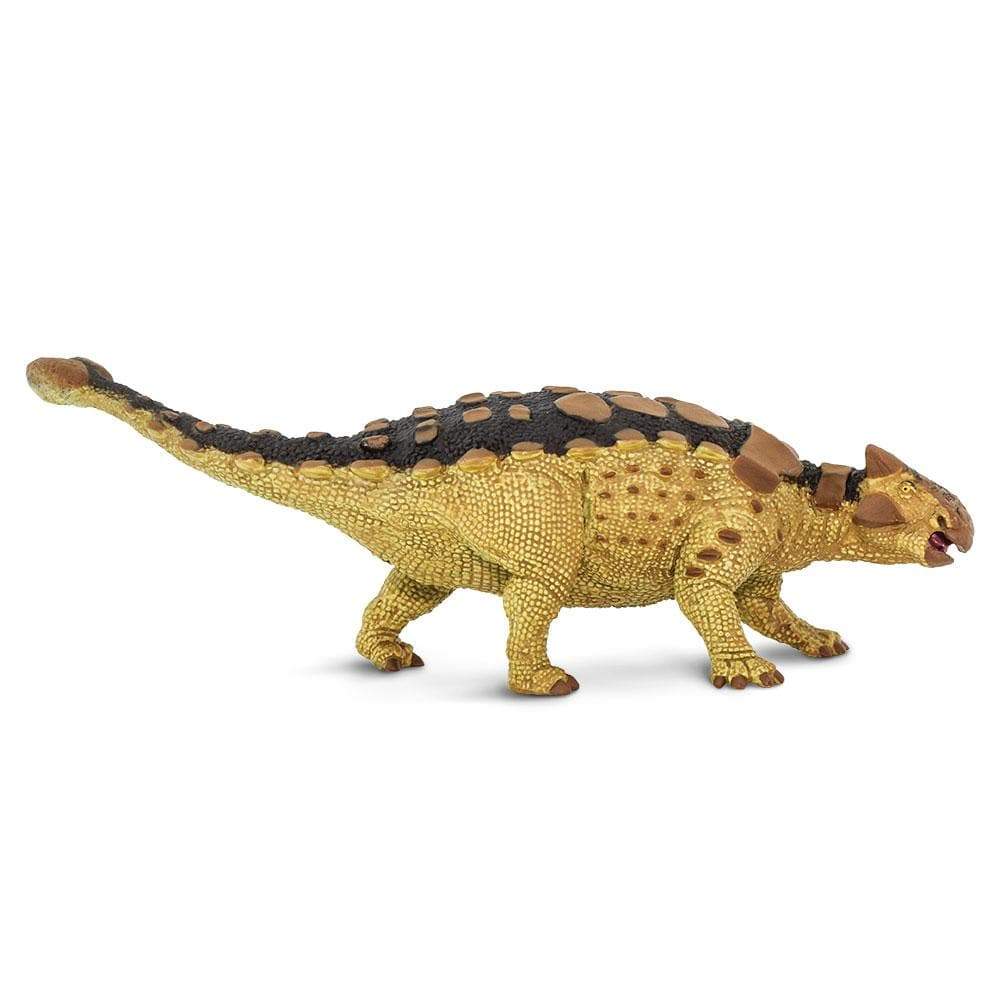 Ankylosaurus – School House GB