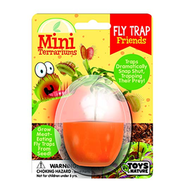 Fly Trap Friends Mini Terrarium