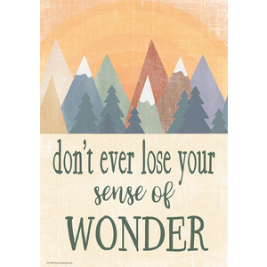 Don't Ever Lose Your Sense Of Wonder Poster