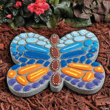 Stepping Stone Butterfly