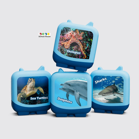 MARINE LIFE CLEVER TONIES SET