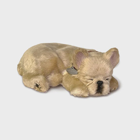 PERFECT PETZZZ FRENCH BULLDOG