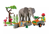ELEPHANT W/ ZOOKEEPER