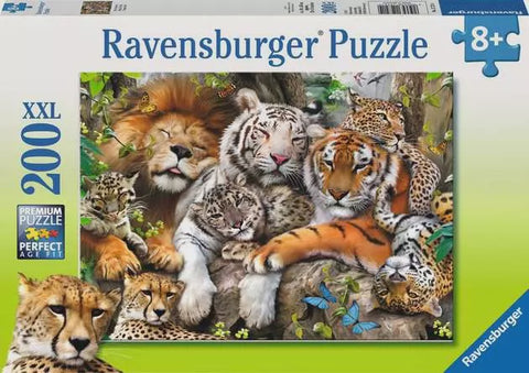 BIG CAT NAP 200 PC PZ