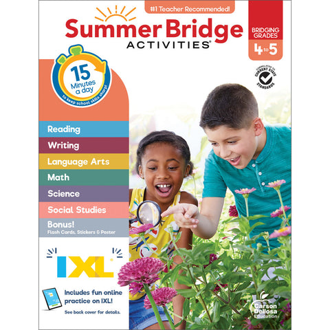 Summer Bridge Activities 4-5 Bk