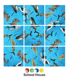 Sharks Squzzle Puzzle