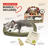 PERFECT PETZZZ ALASKAN HUSKY