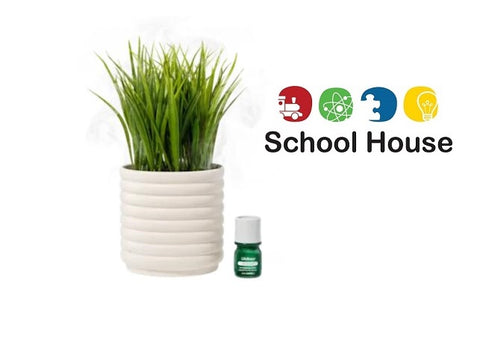 Diffuser Grass Bubble White