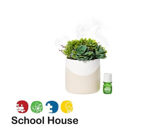 Diffuser Succulent Two Toned