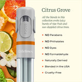 Pen Diffuser Citrus Grove