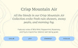 Pen Diffuser Crisp Mountain Air