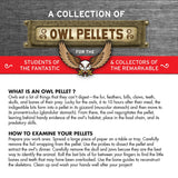Owl Pellets