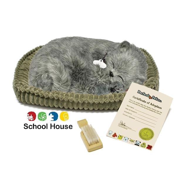 Perfect Petzzz Gray Shorthair Kitten – School House GB