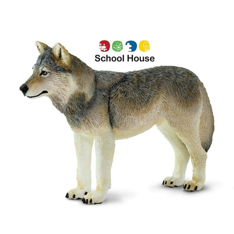 Gray Wolf