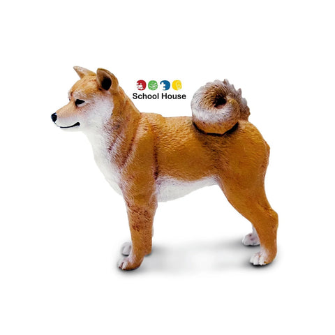 Shiba Inu Dog