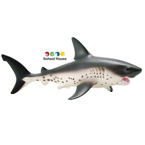 Salmon Shark