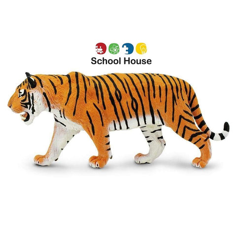 Siberian Tiger