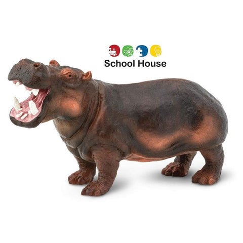 Hippopotamus