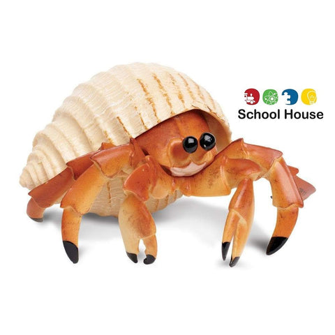 Hermit Crab