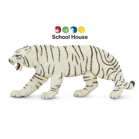 White Bengal Tiger