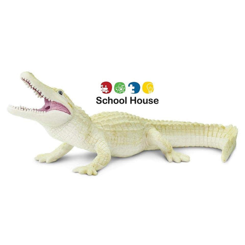 Alligator White