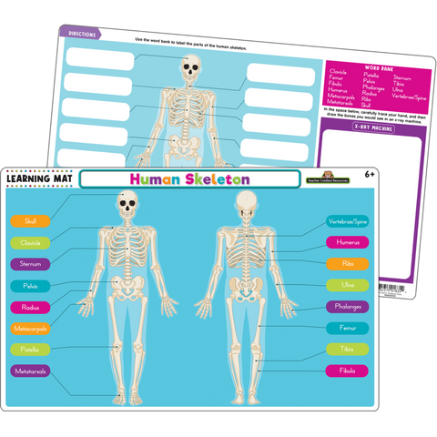 Learning Mat Human Skeleton
