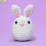 Beginner Crochet Kit Bunny