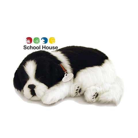PERFECT PETZZZ BORDER COLLIE
