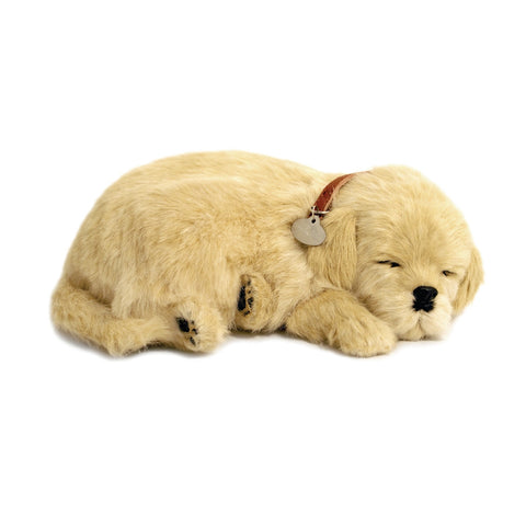 PERFECT PETZZZ GOLDEN RETRIEVER