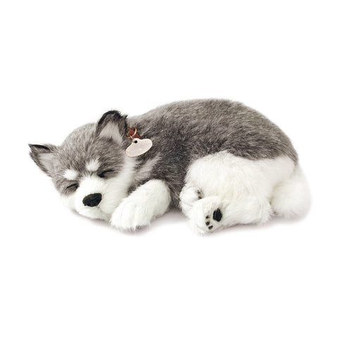 PERFECT PETZZZ ALASKAN HUSKY