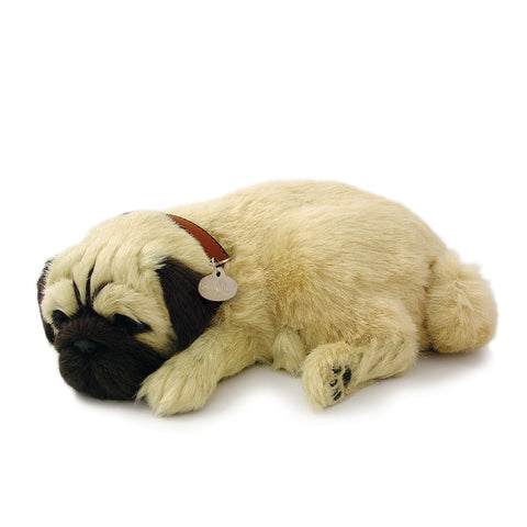 PERFECT PETZZZ PUG