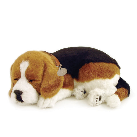 PERFECT PETZZZ BEAGLE