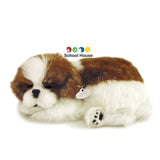 PERFECT PETZZZ SHIH TZU