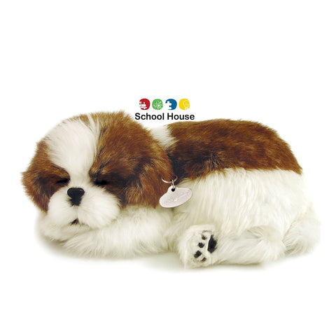 PERFECT PETZZZ SHIH TZU
