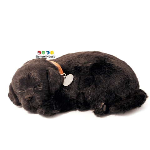 PERFECT PETZZZ BLACK LAB