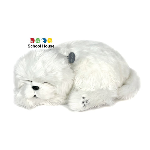 PERFECT PETZZZ MALTESE