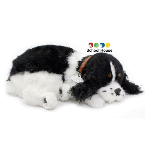 PERFECT PETZZZ COCKER SPANIEL