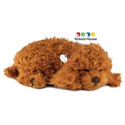 PERFECT PETZZZ TOY POODLE