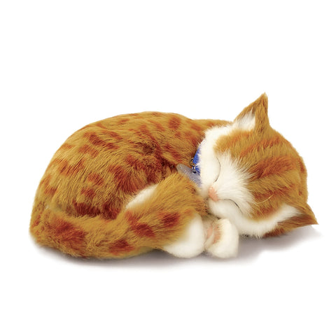 PERFECT PETZZZ ORANGE TABBY KITTEN