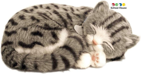 PERFECT PETZZZ GRAY SHORTHAIR KITTEN