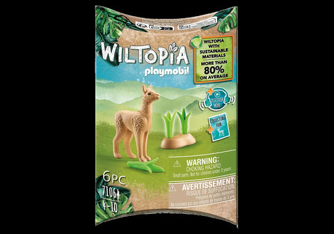 YOUNG ALPACA*