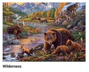 WILDERNESS LG 500 PC PZ