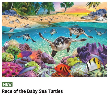 Race of the Baby Sea Turtles 500 Piece Large Format Puzzle | Ravensburger