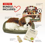 PERFECT PETZZZ SHIH TZU