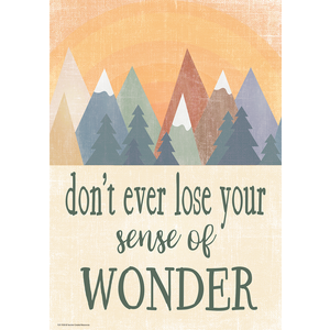 DONT EVER LOSE YOUR SENSE OF WONDER POSTER