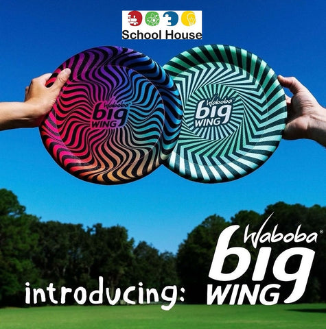 BigWing Double-Sided Flying Disc