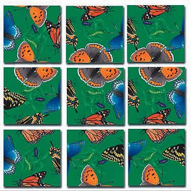 Scramble Squares Butterflies